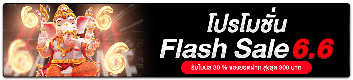 โปรโมชั่น Flash Sale 06.06